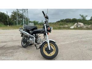 DAX 50 CC LACIO SKYTEAM