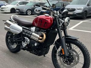 TRIUMPH SCRAMBLER 1200 X TZ ROT