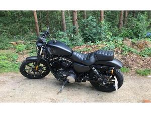 HARLEY DAVIDSON IRON 883 XL883N BLACK DENIS BJ. 2019