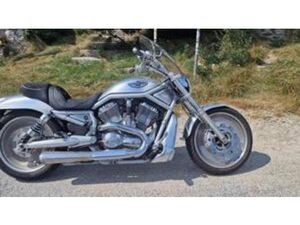 1130 V-ROD (2002 - 05) - VRSCA