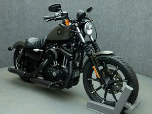 2019 HARLEY DAVIDSON XL883N SPORTSTER 883 IRON