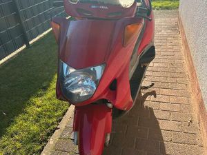 HONDA PANTHEON 125 CCM SCHLACHTERSTOCHTER