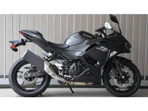 VENDO KAWASAKI NINJA 500 (2024 - 26) NUOVA A APPIANO SULLA STRADA DEL VINO/EPPAN AN DER WEINSTRASSE (CODICE 9885818) - MOTO.IT