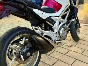 SUZUKI - GLADIUS 650