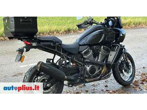 HARLEY-DAVIDSON PAN AMERICA 1252 CC, ENDURO / ADVENTURE