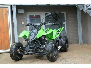 ACCESS MOTOR_ XTREME 300 _ NERF-BARS _ AHK _ LOF _ GARANTIE