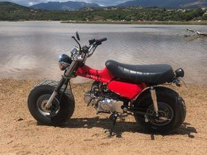 SKYTEAM T REX 2013, 900 KMS