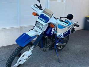 SUZUKI DR650 DJEBEL