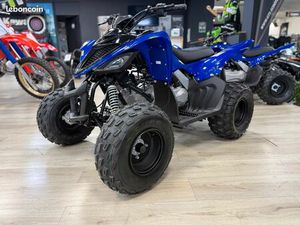 YAMAHA YFM 110 RAPTOR PROMO