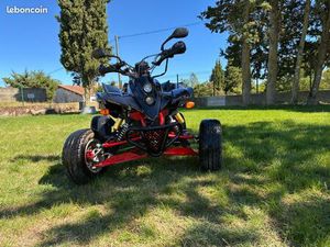 QUAD 250 HOMOLOGUÉS