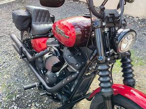 HARLEY DAVIDSON SOFTAIL STREET BOB