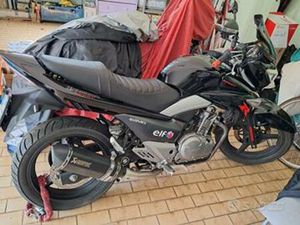 SUZUKI INAZUMA 250 - 2013+OMAGGIO KAWASAKI