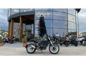 VENDO BENELLI LEONCINO 500 TRAIL (2021 - 25) NUOVA A CHIETI (CODICE 9887077) - MOTO.IT