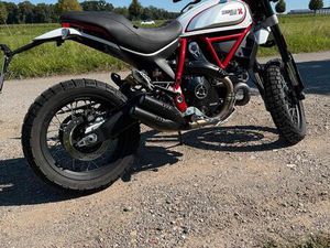 DUCATI SCRAMBLER DESERT SLED 2019 | TOP ZUSTAND | KURVEN-ABS