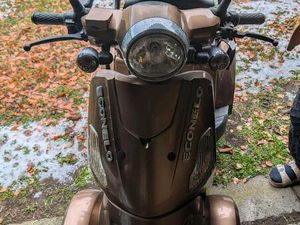 ECONELO J4000 ELEKTRO VIERRADROLLER MIT LITHIUM AKKU UND DACH