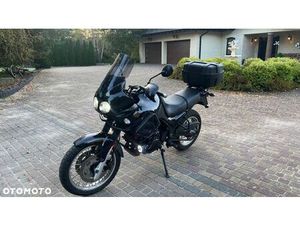 TRIUMPH TIGER