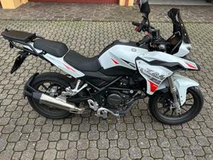 BENELLI BN 251 - 2024