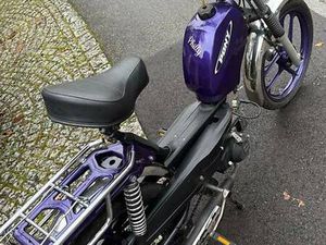 TÖFFLI PONY GTX CANTON BASEL-LANDSCHAFT -