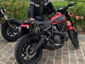 DUCATI SCRAMBLER 800 ICON (ABS)