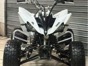 250 RAPTOR HOMOLOGUÉS