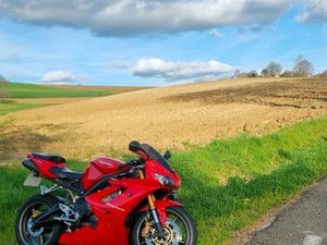 TRIUMPH DAYTONA 675