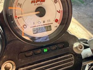 HARLEY DAVIDSON - XR 1200 X