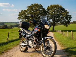 HONDA DOMINATOR 650 (1992)