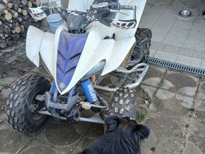 QUAD 350 RAPTOR HOMOLOGUÉ