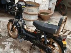 DERBI - VARIANT STAR