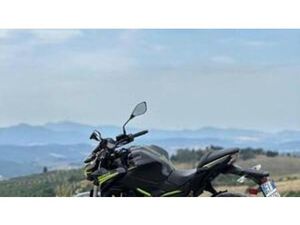 Z 650 PERFORMANCE (2020)