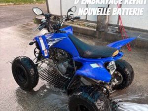 250 RAPTOR HOMOLOGUÉ