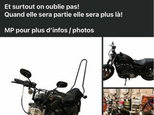 HARLEY DAVIDSON IRON SPORTSTER 1200