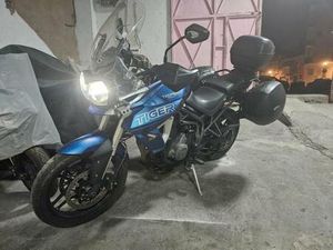 TRIUMPH - TIGER 800 XRT