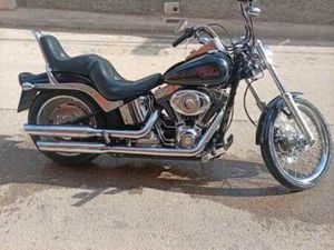 HARLEY DAVIDSON - SOFTAIL CUSTOM 1584