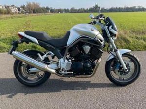 YAMAHA BT 1100 BULLDOG (BJ 2002) — MOTOREN | YAMAHA — MARKTPLAATS