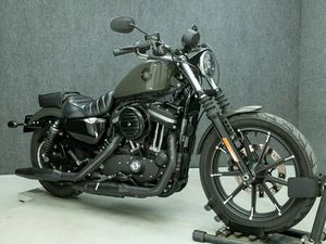 2019 HARLEY DAVIDSON XL883N SPORTSTER 883 IRON