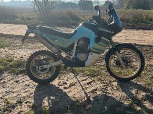 HONDA XL 600V