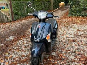 KYMCO LIKE 50 SCOOTER, GEEL KENTEKEN — SCOOTERS | KYMCO — MARKTPLAATS