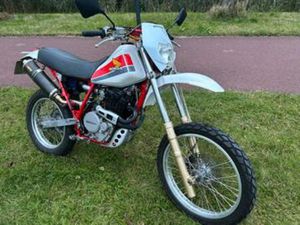 HONDA XL600R 1984 — MOTOREN | HONDA — MARKTPLAATS