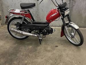 PONY GTX MOPED CANTON SAINT-GALL -