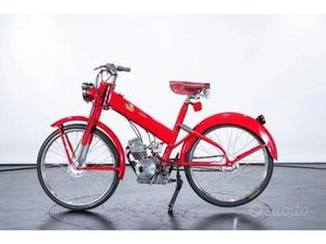 DUCATI CUCCIOLO - 1952