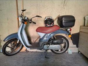 HONDA MOTORROLLER SGX 50 2-TAKT 2T 50KM/H ZULASSUNG