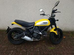DUCATI SCRAMBLER 800 ICON | ABS | ORIGINEEL | 31DKM | 2015 — MOTOREN | DUCATI — MARKTPLAATS