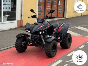 KYMCO MAXXER 300 (1ERE MAIN, ATTELAGE)