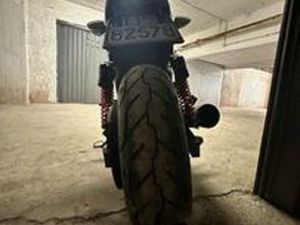 HARLEY-DAVIDSON STREET ROD - 2019