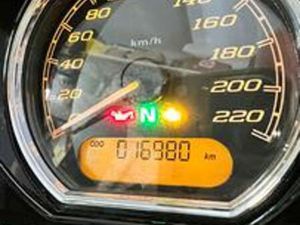 STREET GILDE 2022 NERA