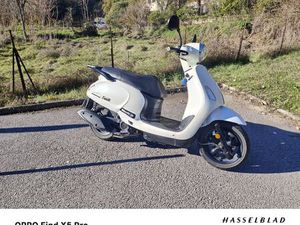 SCOOTER FIDDLE 50