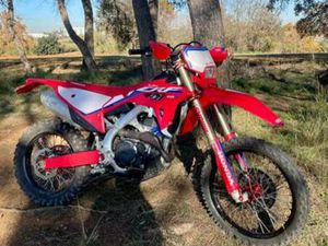 HONDA - CRF 450 RX EDICION SPECIAL