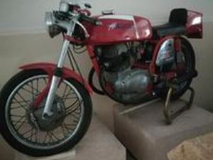 MV AGUSTA ALTRO MODELLO - 1973