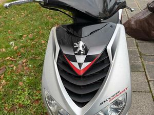 PEUGEOT SPEEDFIGHT 2 (50 CM³, 2004) – GUT GEPFLEGT,